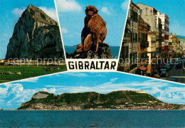73773013 Gibraltar Felsen Affe Ortsmotiv Panorama Gibraltar - Gibraltar