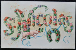 Saint Nicolas - Carte Gaufrée /Relief -Fleurs  - Cochon - Fer à Cheval - - San Nicolás