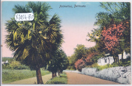 BERMUDES- BERMUDA- PALMETTOS - Bermudes