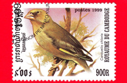 Cambogia - Nuovo Oblit.- 1999 - Uccelli - Verdone - Carduelis Chloris - European Greenfinch - 900 - Kambodscha