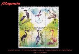 CUBA MINT. 2020-16 AVES ACUÁTICAS DE LOS HUMEDALES DE CUBA. BLOQUE DE CINCO CON VIÑETA - Unused Stamps