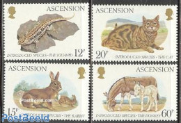 Ascension 1983 Imported Animals 4v, Mint NH, Nature - Animals (others & Mixed) - Cats - Horses - Rabbits / Hares - Rep.. - Ascension