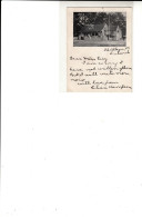 G.B. / Cricket Postcards / London / Portugal - Ohne Zuordnung