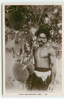 Fidji - Fijian And Jackfruit Tree - Figi