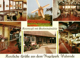 72961326 Walsrode Lueneburger Heide Vogelpark Walsrode Rosencafe Mit Bockwindmue - Walsrode