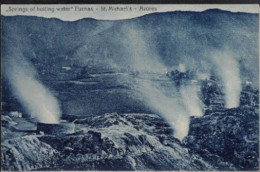 ACORES  AZORES  SPRINGS OF BOILLING WATER FURNAS ST MICHAEL'S - Açores