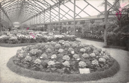 TH-EXPOSITION HORTICULTURE-N 6010-A/0249 - Cultures
