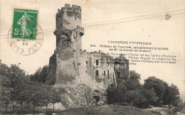 FRANCE - Auvergne - Château De Tournoël - Ancien Fief Des Comtes D'Auvergne - Carte Postale Ancienne - Auvergne Types D'Auvergne