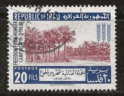 Iraq 1963 N° Y&T : 353 Obl. - Iraq