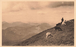 FRANCE - Clermont Ferrand - Au Sommet Du Puy De Dôme - Les Monts Dômes Ou Chaîne Des Puys - Carte Postale Ancienne - Clermont Ferrand