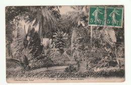 Afrique . Guinée . Konakry . Le Jardin Public . 1908 - Guinée