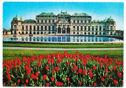 CPSM Dentelée 10.5 X 15 Autriche (2) VIENNE WIEN Château De Belvedère  Tulipes - Autres & Non Classés