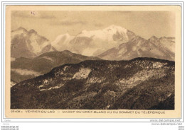 VEYRIER-DU-LAC:  MASSIF  DU  MONT  BLANC  VU  DU  SOMMET  DU  TELEFERIQUE  -  FP - Veyrier