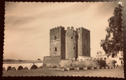 Cordoba.Torre De La Calahorra. - Córdoba