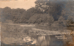 C P A  -  R U  -    SUNNINGIHLL- CARTE PHOTO - Silwood Lake - Autres & Non Classés