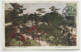 JAPAN JAPON 2 SN SOLO AU RECTO CARD KOBE 1921  OSAKA TO BANGUI CONGO FRANCAIS VIA PORT SAID PORT TAUFIQ - Storia Postale