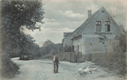 METIERS - Un Fermier Avec Ses Oies - Carte Postale Ancienne - Andere & Zonder Classificatie