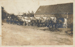 Ww1 Guerre 14/18 War * Carte Photo * Attelages * Soldats Militaires Régiment - War 1914-18