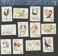 DUIVEN ( PIGEONS TAUBEN DOVES ) - MATCHBOX LABELS FORMER YUGOSLAVIA 1968 - Matchbox Labels