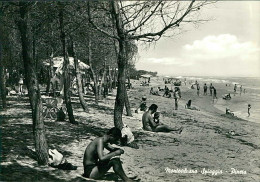 MONTESILVANO SPIAGGIA  ( PESCARA ) PINETA - EDIZIONE CARTOLERIA ADRIATICA - SPEDITA 1962 (19708) - Pescara