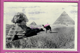 CPSM EGYPTE - Le Sphinx Et Les Pyramides Animé Homme En Dromadaire  Voyagé - Piramiden