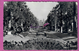 CPSM MONACO - MONTE CARLO - Les Jardins Et Le Casino écrite - Jardín Exótico