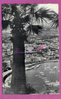 CPSM MONACO - Le Port Et La Condamine Voyagé 1956 TAMPON MONACO ROSE 19 AVRIL 1956  - Puerto