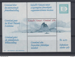 Greenland 1987 - Michel Block 2 MNH ** - Blokken