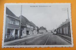 SINT-GILLIS-WAAS - Kluizendijkstraat  - Kalf - Sint-Gillis-Waas