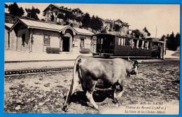 CPA SAVOIE (73) - AIX-LES-BAINS - PLATEAU DU REVARD - LA GARE ET LES CHALETS-HOTELS - Aix Les Bains