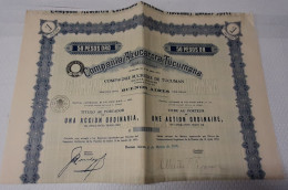 Compania Azucarera Tucumana - Compagnie Sucrière De Tucumana -  50 Pesos Or - Buenos Aires 1936. - Agriculture