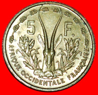 * FRANCE: FRENCH WEST AFRICA  5 FRANCS 1956 MINT LUSTRE!  · LOW START ·  NO RESERVE! - África Occidental Francesa