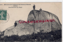03-  HURIEL - MONUMENTS CELTIQUES DU CANTON  LES PIERRES DU PLAID - Autres & Non Classés