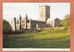 SAINT DAVIDS - ROYAUME UNI - PAYS DE GALLE - PEMBROKSHIRE - CATHEDRAL - NEUVE - Pembrokeshire