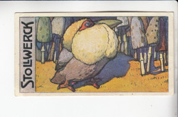 Stollwerck Album No 13 Das Rote Ei  Die Strafe      Grp 500 #6 Von 1912 - Stollwerck