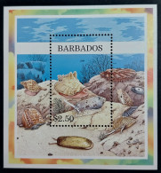 Coquillages Shells // Bloc Neuve ** MNH ; Barbados BF 35 (1997) Cote 6.50 € - Barbados (1966-...)