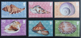 Coquillages Shells // Série Complète Neuve ** MNH ; Bermuda YT 844/849 (2002) Cote 37.50 € - Bermuda