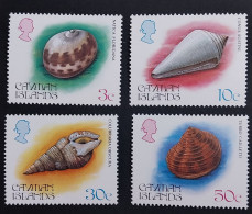 Coquillages Shells // Série Complète Neuve ** MNH ; Caïmans YT 525/528 (1984) Cote 13 € - Kaimaninseln