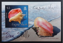 Coquillages Shells // Bloc Neuve ** MNH ; Caïmans BF 52 (2010) Cote 12 € - Caimán (Islas)