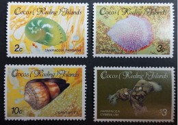 Coquillages Shells // Série Complète Neuve ** MNH ; Cocos (Keeling) YT 138/141 (1986) Cote 12 € - Kokosinseln (Keeling Islands)