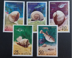 Coquillages Shells // Série Complète Neuve ** MNH ; Corée Du Nord YT 1467/1470 + PA 4 (1974) Cote 7 € - Corée Du Nord