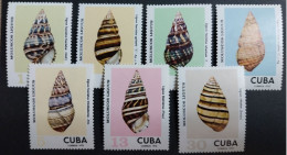 Coquillages Shells // Série Complète Neuve ** MNH ; Cuba YT 1709/1715 (1973) Cote 7.50 € - Unused Stamps