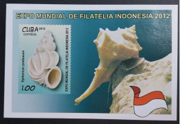 Coquillages Shells // Bloc Neuve ** MNH ; Cuba BF 289 (2012) Cote 3.50 € - Blokken & Velletjes