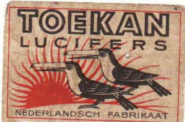 Dutch Matchbox Label, TOEKAN - TOUCAN Lucifers, Bird, Holland, Netherlands - Matchbox Labels