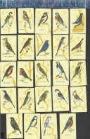 SONG BIRDS - OISEAUX - ZANGVOGELS - USSR URSS SOUVENIR MATCHBOX LABELS RUSSIA 1981 - Boites D'allumettes - Etiquettes