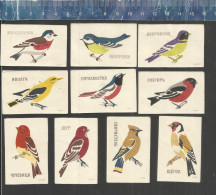 SONG BIRDS - OISEAUX - ZANGVOGELS - USSR URSS MATCHBOX LABELS RUSSIA - Boites D'allumettes - Etiquettes