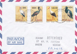 NAMIBIE --1996--Lettre De WINDHOEK  Pour VEDENE-84 (France)--timbres  Oiseaux échassiers   ....cachet - Namibie (1990- ...)