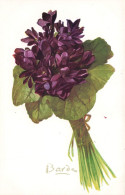 FLEURS - Violette Amiral Avellan - Bouquet De Violettes - Bardes - Carte Postale Ancienne - Blumen