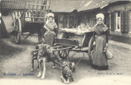 BELGIQUE - Laitières - Voiture à Chiens - Old Professions