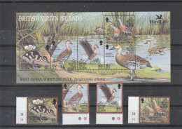 British Virgin Islands - 2002 BirdLife International - The West Indian Whistling Duck,birds.stamps And M/S  MNH** - British Virgin Islands